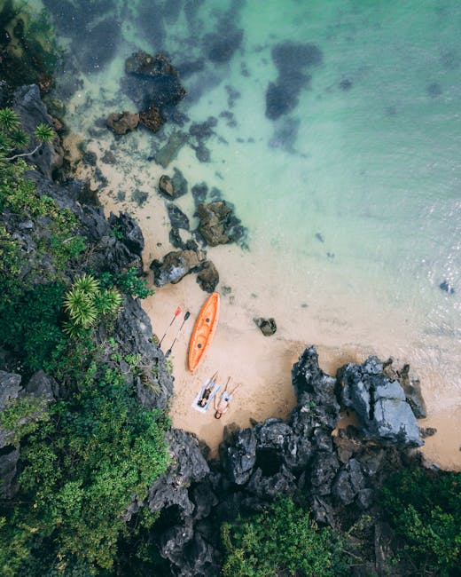 Coastal Kayaking Adventure