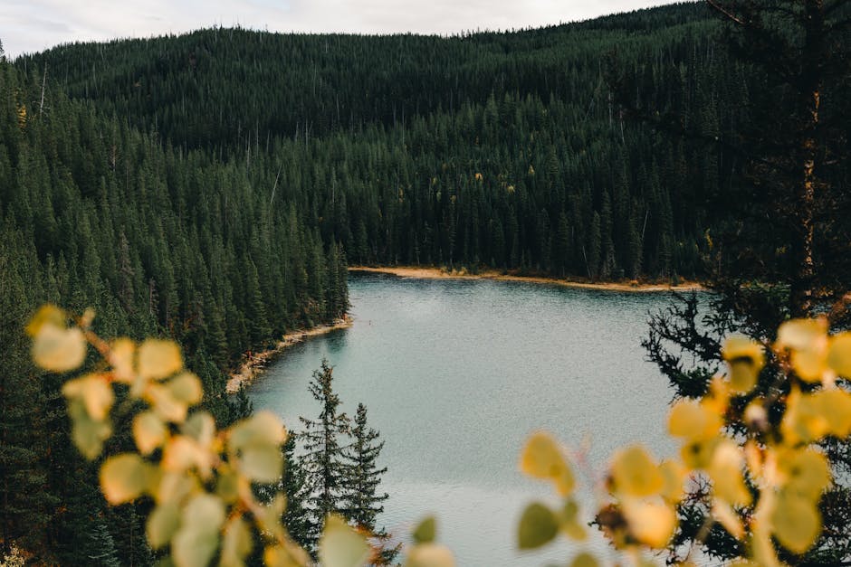 Sustainable Adventures